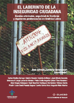 el laberinto de la inseguridad ciudadana